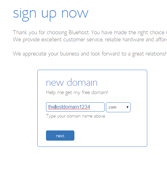 enter-domain-name-step-4